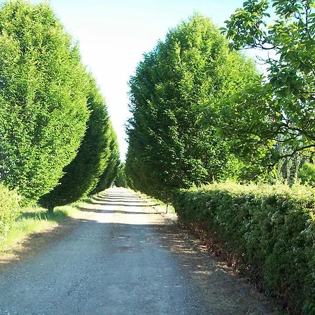 Apartment La Bellotta *
